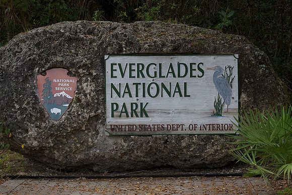 Everglades