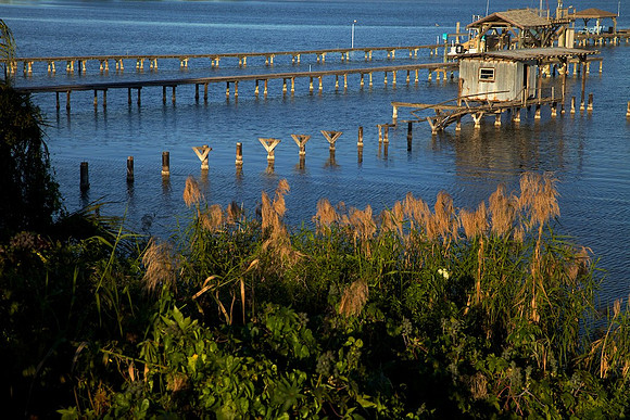 Cocoa FL