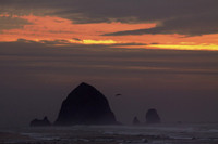 Cannon Beach Sea Stacks