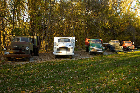 Steamboat Island Farm Old Hands