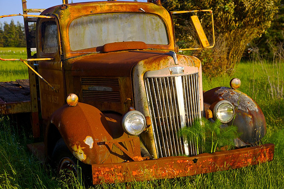 White Truck Sonoma, California