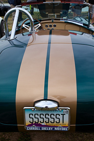 Cobra Fountain Hills Concours Feb 9, 2019 - IMG_1986