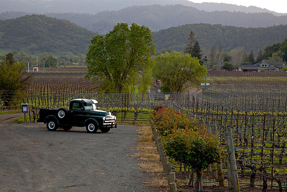 Dodge Truck Napa Winery_6436
