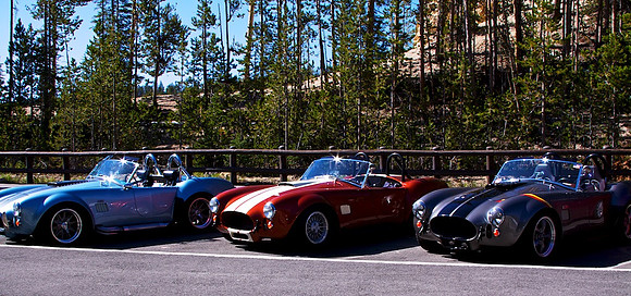 Ford Cobras Yellowstone _7055