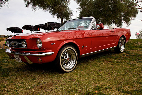Fountain Hills Concours Mustang, 1966 Fountain Hills Concours Feb 9, 2019 - IMG_1934