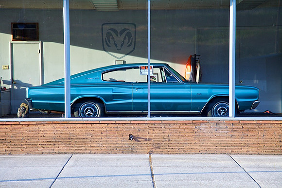 Palouse, 1966 Charger _5498