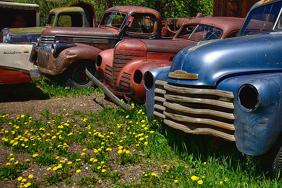 Bel Air "Buddies"