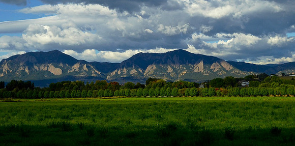 Boulder Flatirons Tree Fence