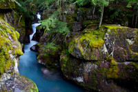 Avalanche Creek Trail of the Cedars Glacier National Park, MT