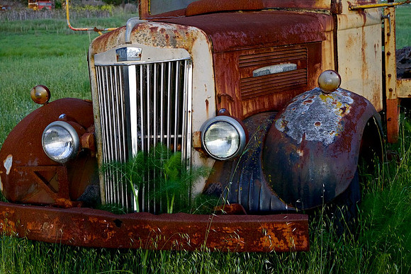 White Truck Sonoma, California 3