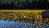 Red Rock Lake