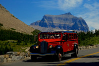 White Truck Touring Car Glacier National Park