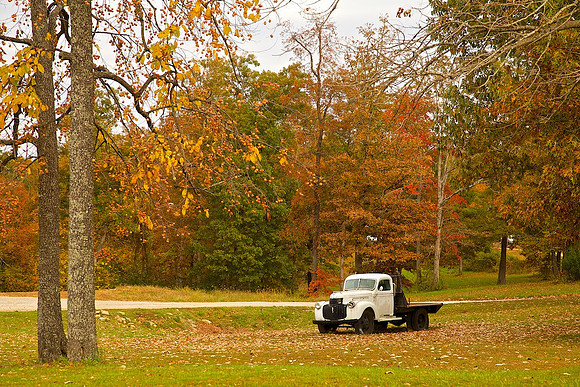 Old Chevy Truck,  Wappapello Lake, MO