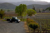 Dodge W Pick-up Early 50's Napa, CA