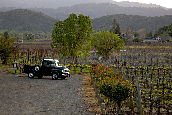 Dodge W Pick-up Early 50's Napa, CA