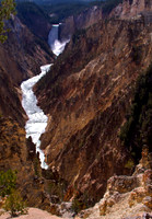 Yellowstone Lower Falls Artist Point