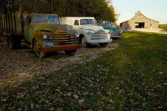 Steamboat Island Farm, MO