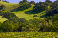 Old Sonoma Road 1