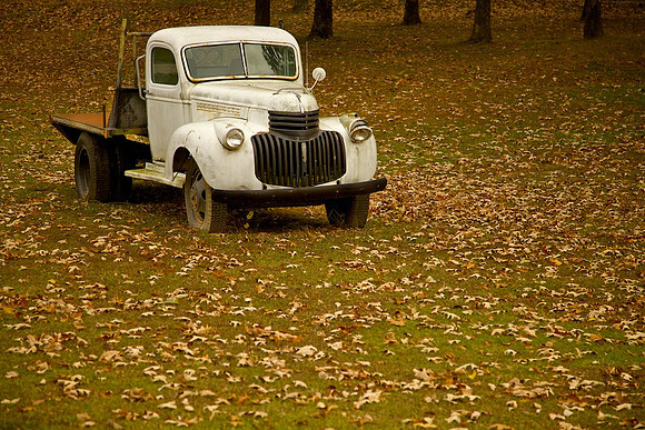Old Chevy Truck,  Wappapello Lake, MO