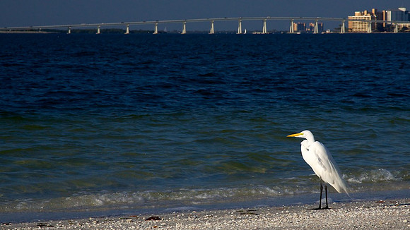 Sanibel Island Bridge, FL