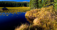 Red Rock Lake Fall Colors