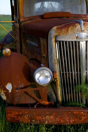 White Truck Sonoma, California  1